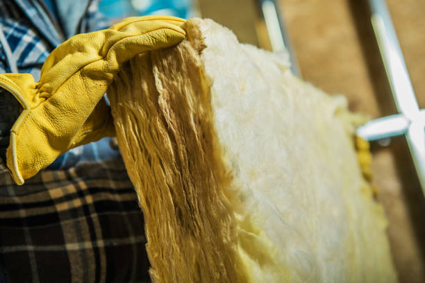 Best Professional Insulation Contractor  in Mineral Springs, AR